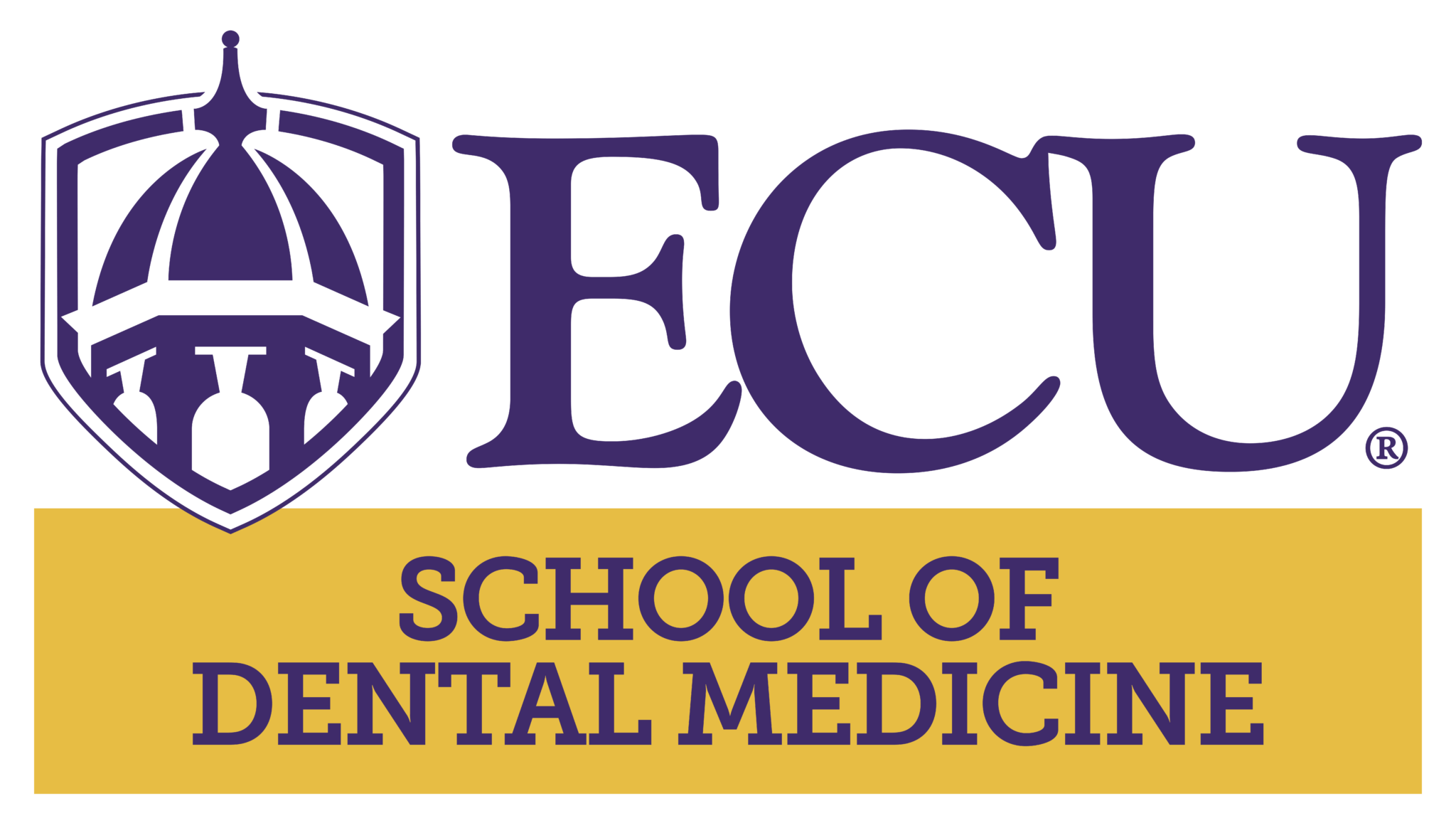 SODM primary - PurpleGold2 copy